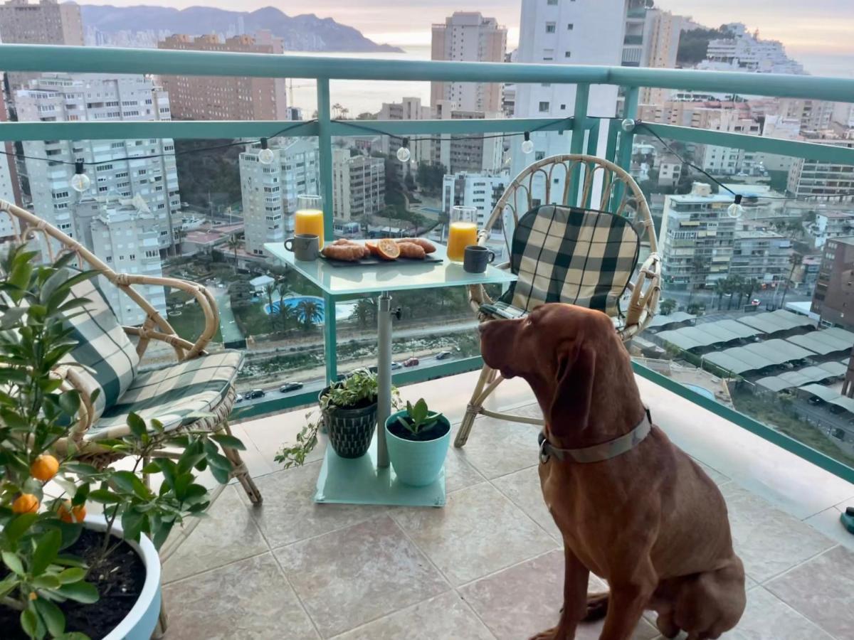 Traveler'S Beach Apartment With Sea View, Free Coffee & Parking Benidorm Zewnętrze zdjęcie